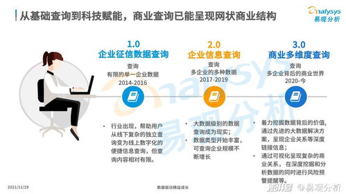 商業查詢已成社會信用基石，中國商業查詢市場發展機遇與企業在咨詢服務下的市場策略